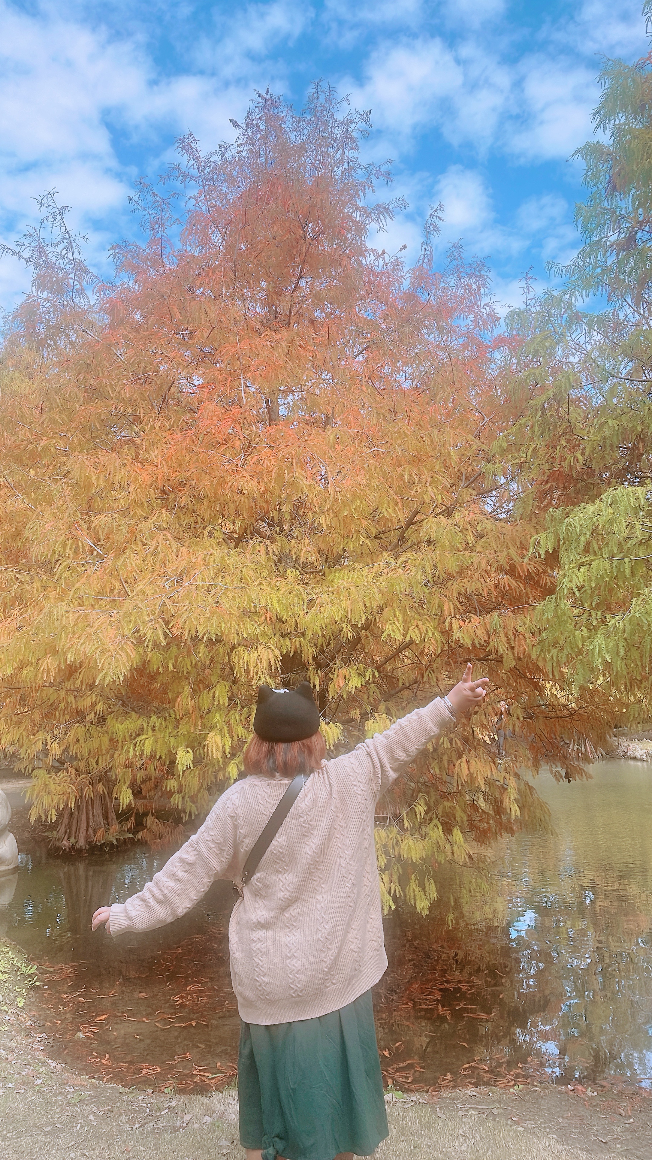旅遊分享·【青埔落羽松秘境】｜小秘境之旅 小確幸活動 小氛圍時光 幸福滿滿滿